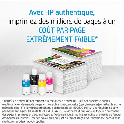 Cartouche d'encre HP Bouteille d'Encre Originale 31 - M0B51AE