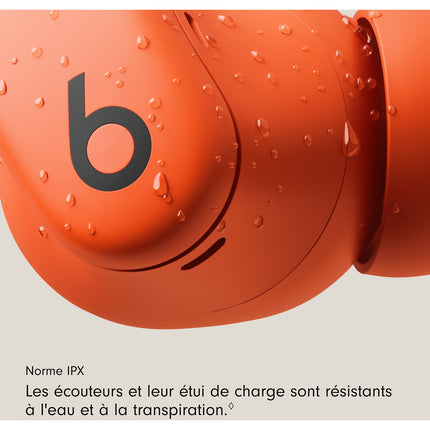 Ecouteurs sport BEATS Powerbeats Fit