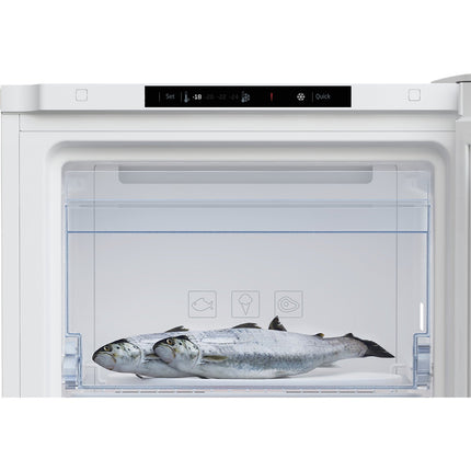Congélateur armoire BEKO RFNM200T40WN