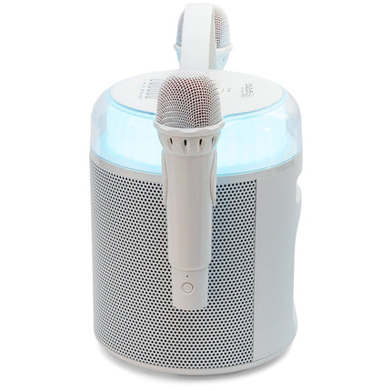 Enceinte sono IBIZA KARAHOME-WH
