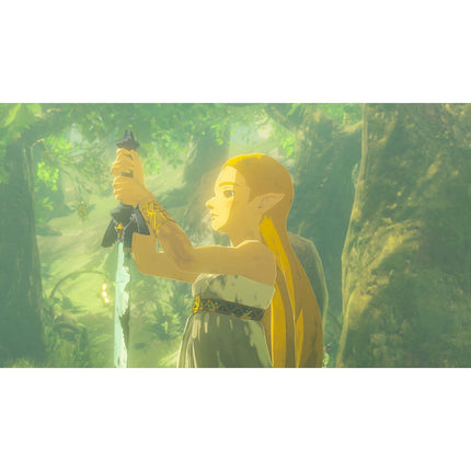 Jeu Switch 2 NINTENDO The Legend of Zelda Breath of the Wild