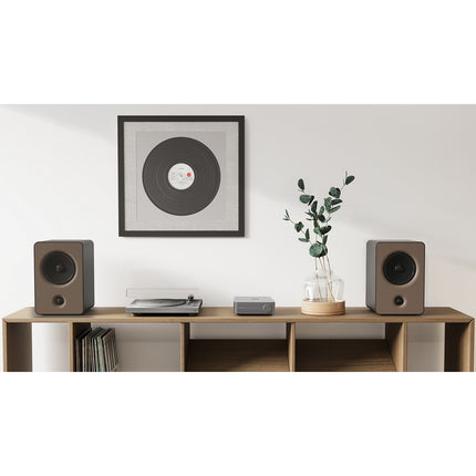 Amplificateur HiFi WIIM amp space grey