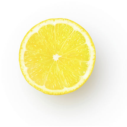 Presse-agrumes SAGE APPLIANCES the Citrus Press Pro