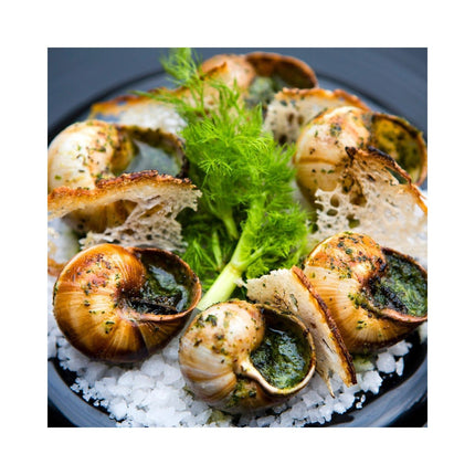 Plat au four FACKELMANN 2433350