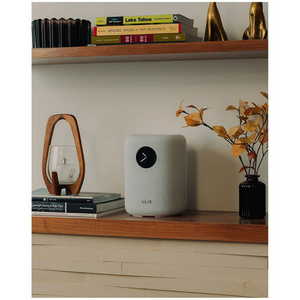 Enceinte Multiroom WIIM Sound Black with display