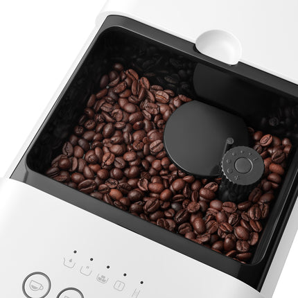 Expresso Broyeur SMEG BCC11BLMEU Collezione