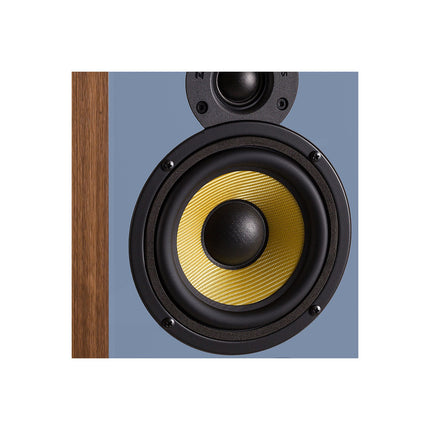 Enceinte