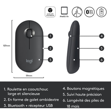 Souris sans fil LOGITECH Pebble M350 Wireless Graphite