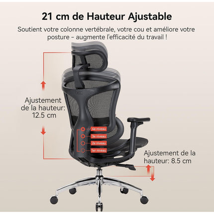 Fauteuil ergonomique SIHOO C300 chaise ergonomique noir