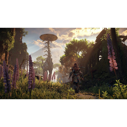 Jeu PS5 SONY Horizon Zero Dawn Remastered