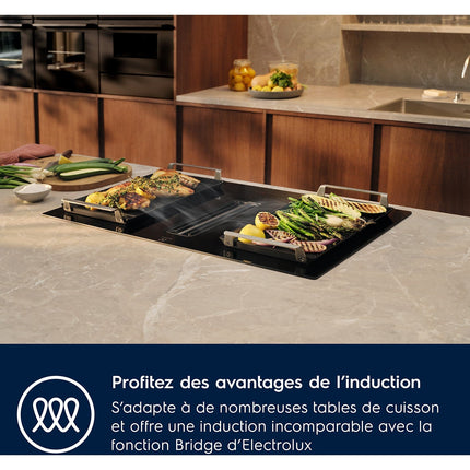 ACCESSOIRE ELECTROLUX Plancha grill pour four et table E9HHPG11