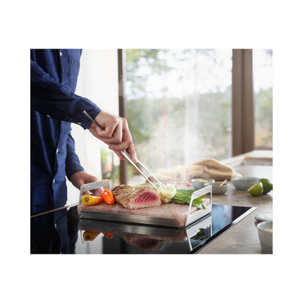 Pierre ELECTROLUX de sel-E2SLT