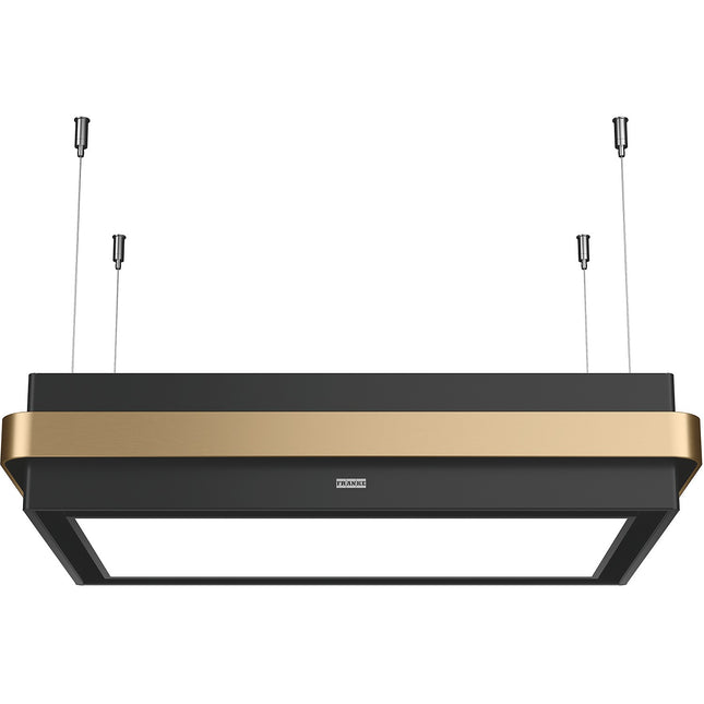 Hotte décorative îlot FRANKE 463231