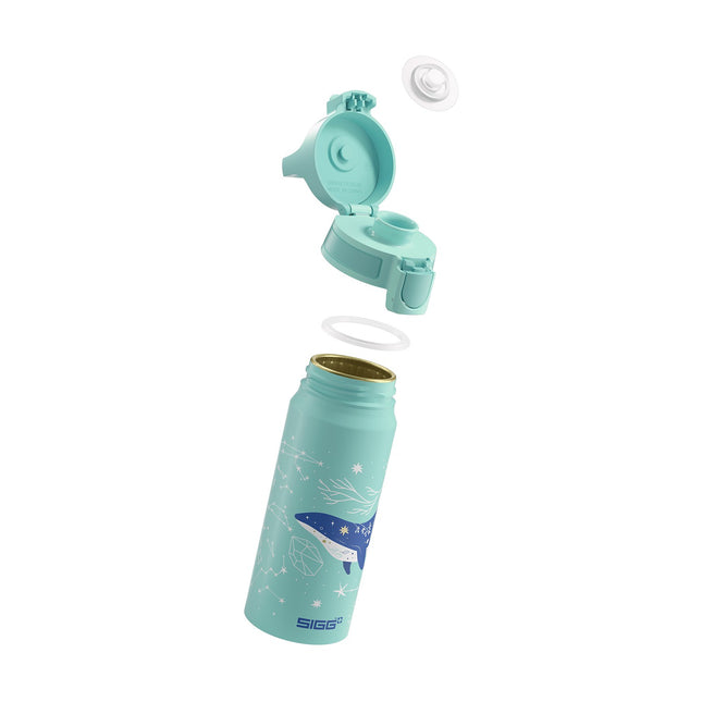 Gourde enfant SIGG Wmb One Dive 0.6L