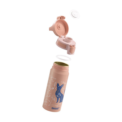 Gourde enfant SIGG Wmb One My Universe 0.6L
