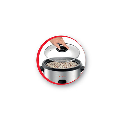 Cuiseur riz MOULINEX MK123D10 Easy rice