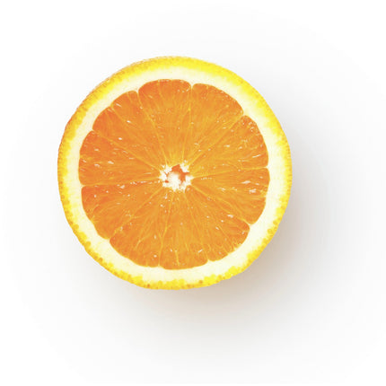 Presse-agrumes SAGE APPLIANCES the Citrus Press Pro