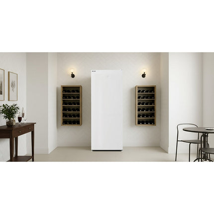 Congélateur armoire BEKO RFNM200T40WN