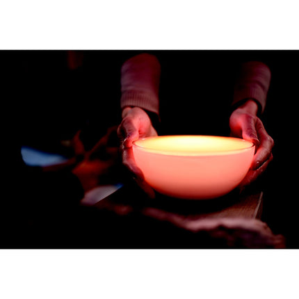 Lampe connectée PHILIPS HUE Go White&Color Ambiance