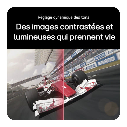 Ecran PC Gamer LG