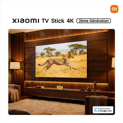 Clé TV XIAOMI STICK TV 4K OB6-EU