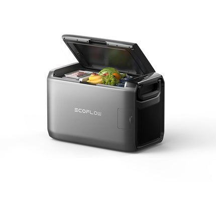 Glacière électrique ECOFLOW Classic 35L