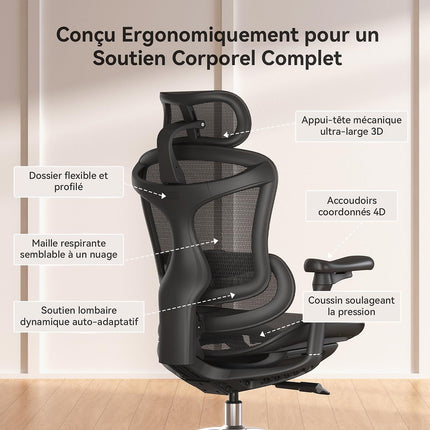 Fauteuil ergonomique SIHOO C300 chaise ergonomique noir