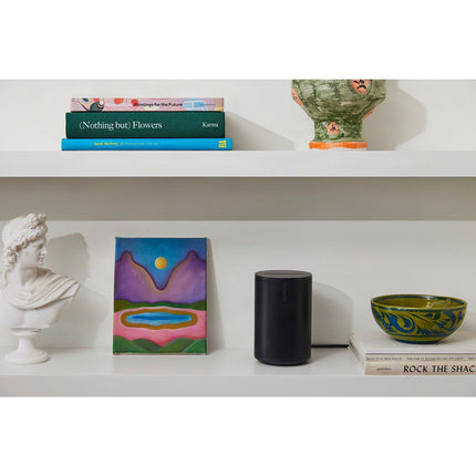Enceinte résidentielle SONOS Era 100 SL