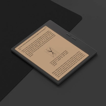 Liseuse eBook BOOX Go Color 7 Black (Gen 2)