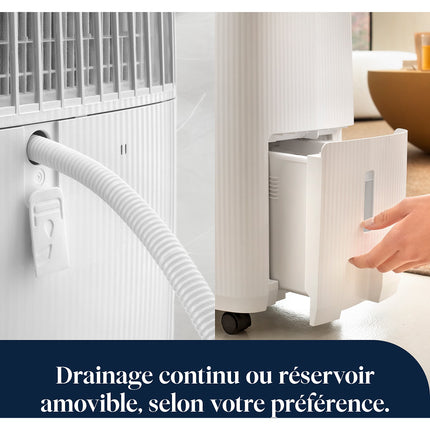 Deshumidificateur DELONGHI DEP216