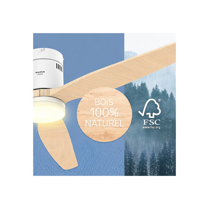 Ventilateur TAURUS POLAR 3B