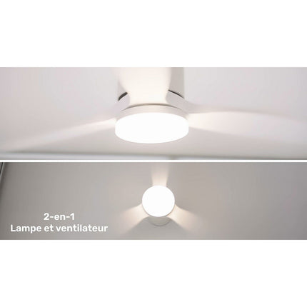 Ventilateur TAURUS POLAR 3B