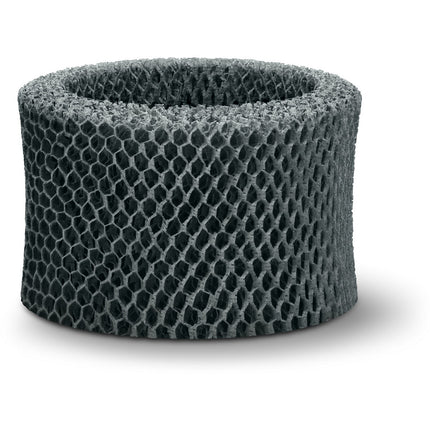 Filtre PHILIPS FY2401/30