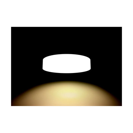 Plafonnier PHILIPS Fair plafonnier white