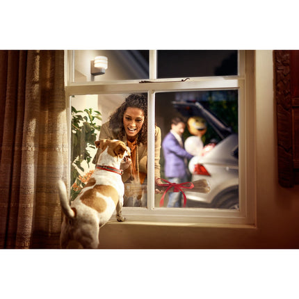Lampe connectée PHILIPS HUE White 9.5W TUAR Inox Ext