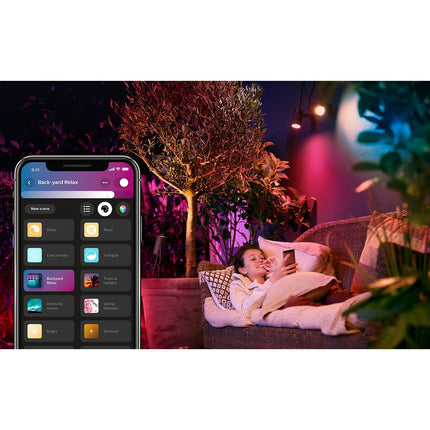 Lanterne PHILIPS HUE W&C LILY extension 8W Anth. Ext
