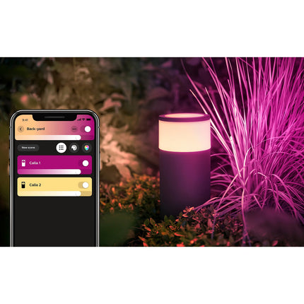 Lanterne PHILIPS HUE W&C CALLA Kit extension Noir Ext