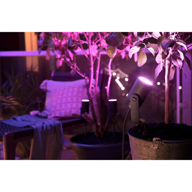Lanterne PHILIPS HUE W&C LILY 8W Anthracite Ext