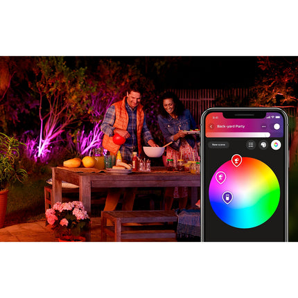 Lanterne PHILIPS HUE W&C LILY 8W Anthracite Ext