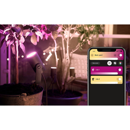 Lanterne PHILIPS HUE W&C LILY 8W Anthracite Ext