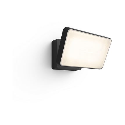 Lampe connectée PHILIPS W&C DISCOVER Noir Ext