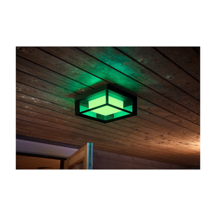 Lampe connectée PHILIPS HUE W&C ECONIC Noir Ext