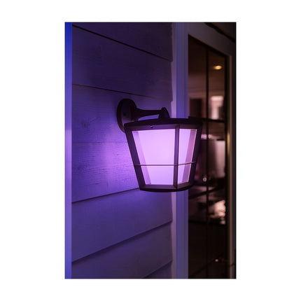 Lampe connectée PHILIPS HUE W&C ECONIC Noir Ext