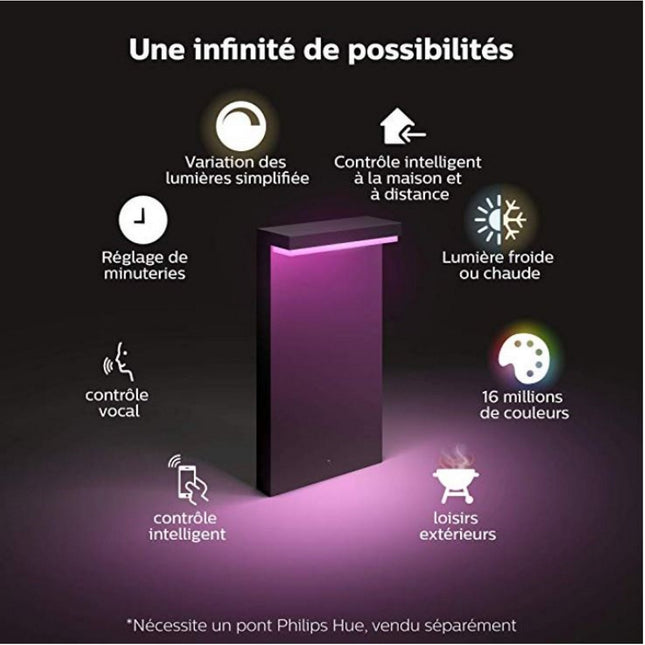 Lanterne PHILIPS HUE W&C 13.5W NYRO Noir Ext