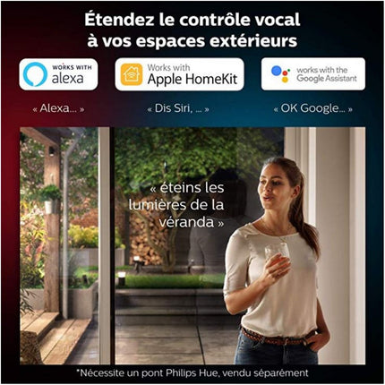 Lanterne PHILIPS HUE W&C 13.5W NYRO Noir Ext