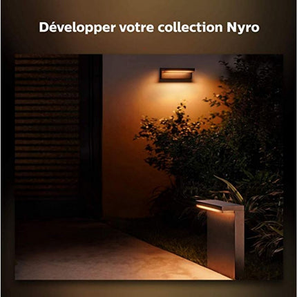 Lanterne PHILIPS HUE W&C 13.5W NYRO Noir Ext