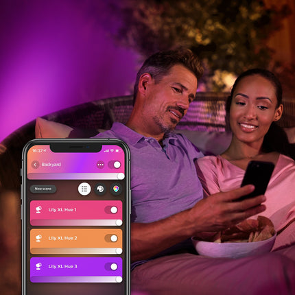 Luminaire PHILIPS HUE W&C LILY 15W Noir Ext