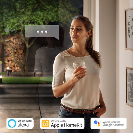 Luminaire PHILIPS HUE W&C LILY 15W Noir Ext