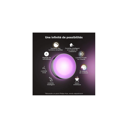 Luminaire PHILIPS HUE W&C DAYLO 15W Inox