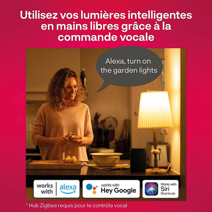 Luminaire INNR Globe additionnel